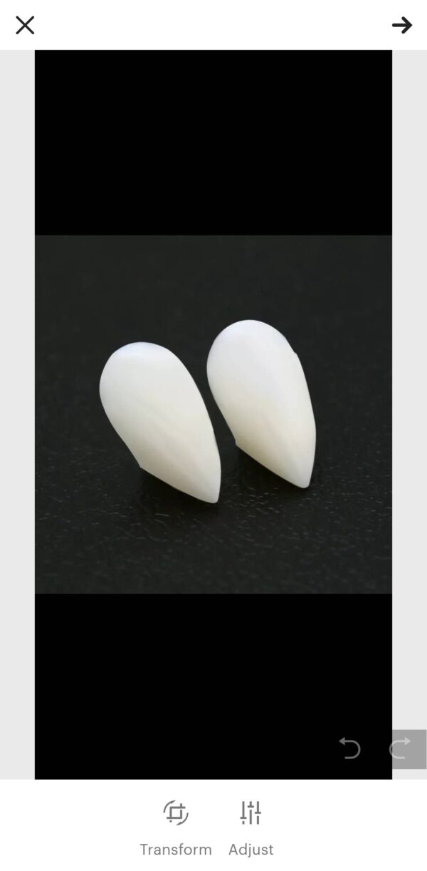 Vampire fake teeth