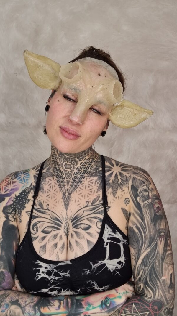 forehead and nose and ears prosthetic