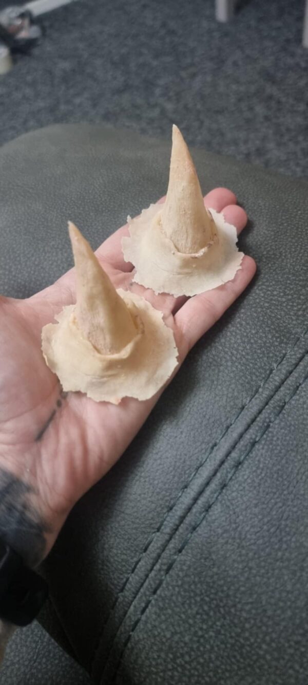 medium devil horns prosthetics
