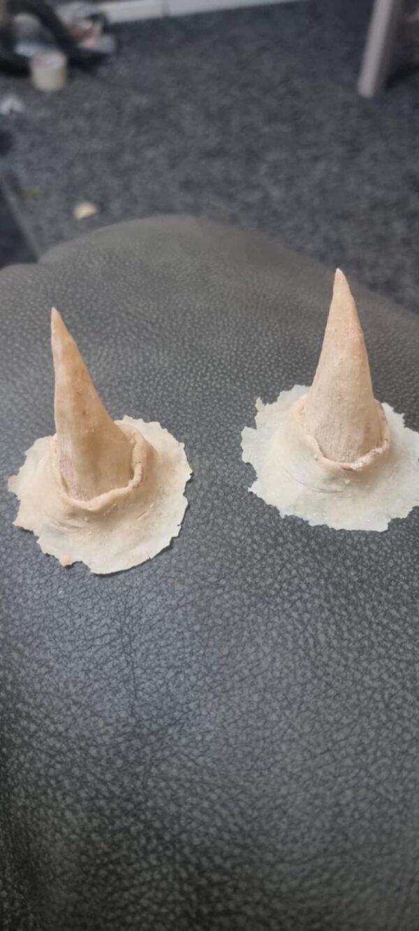 Medium latex horns - Image 4