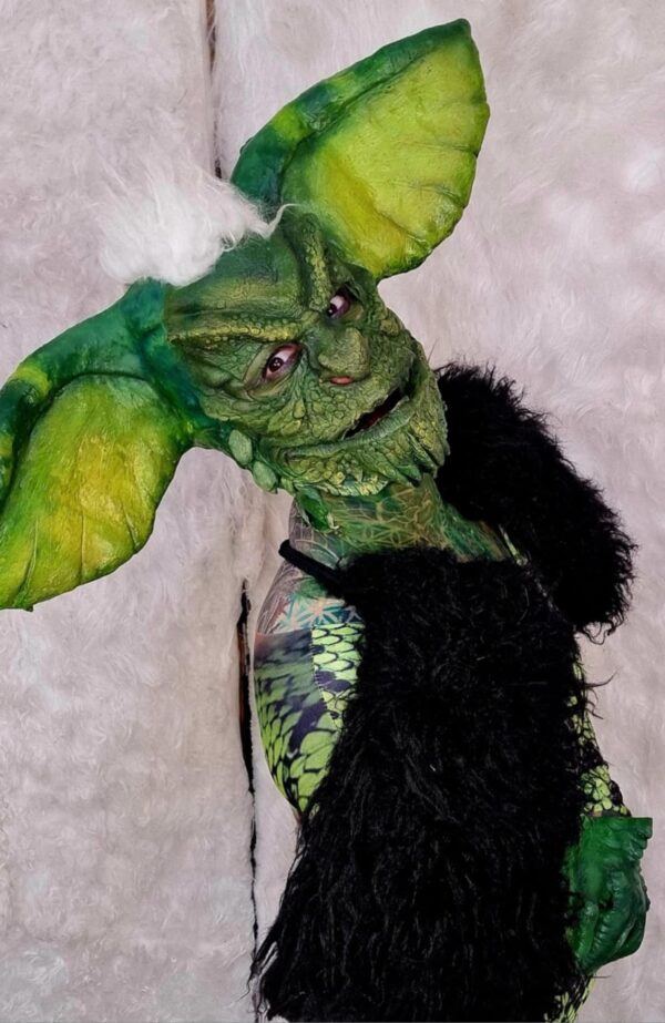 prosthetic mask and ears costume