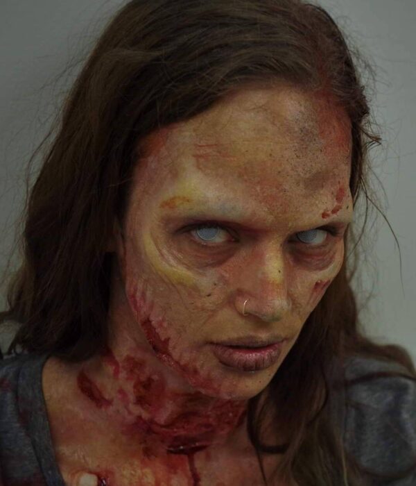 Realistic zombie brow set