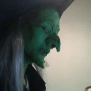 Child size witch nose