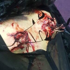 Broken Angel Wings / Bones