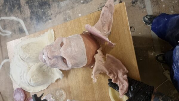 rabbit prosthetic and ears