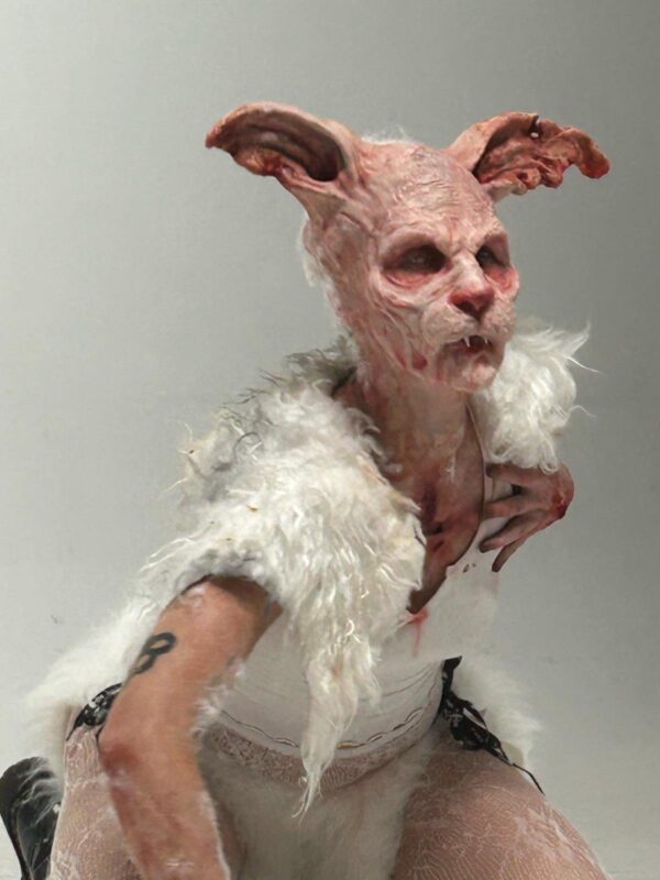 rabbit prosthetic and ears