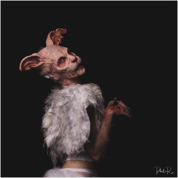 silicone rabbit face and ears - Image 3