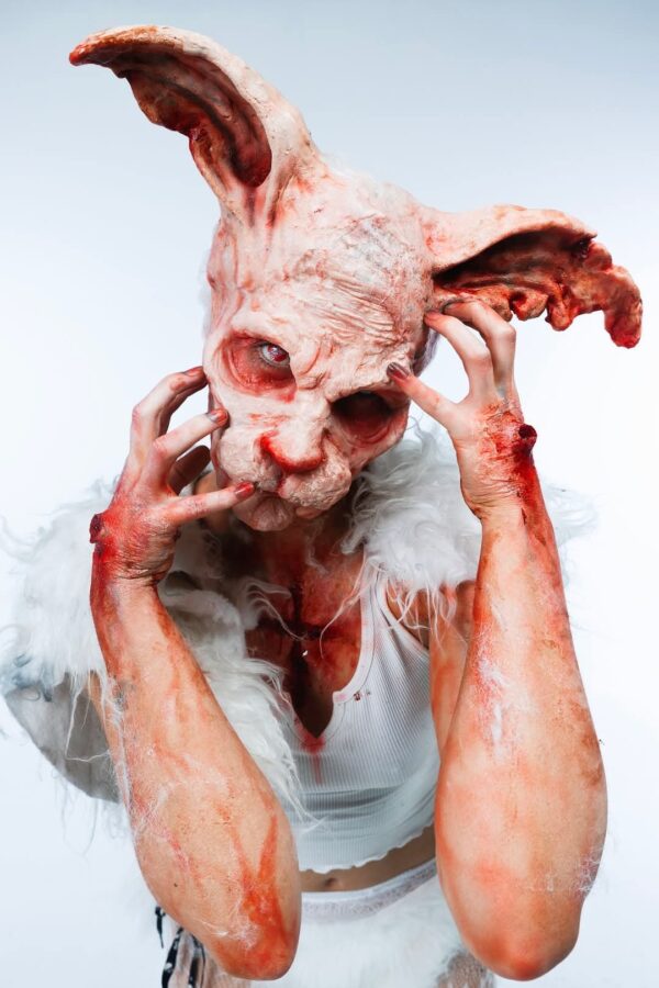 rabbit prosthetic and ears