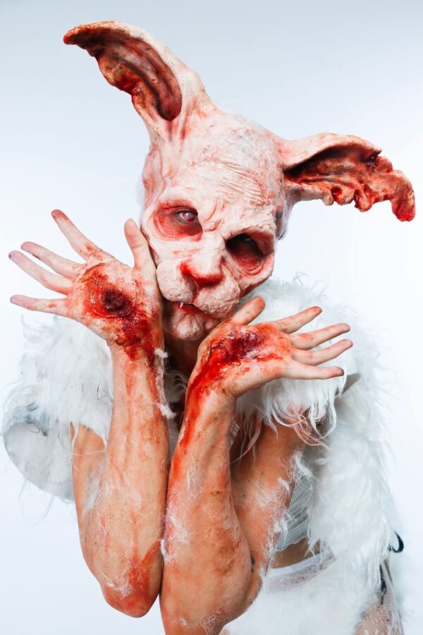 rabbit prosthetic and ears