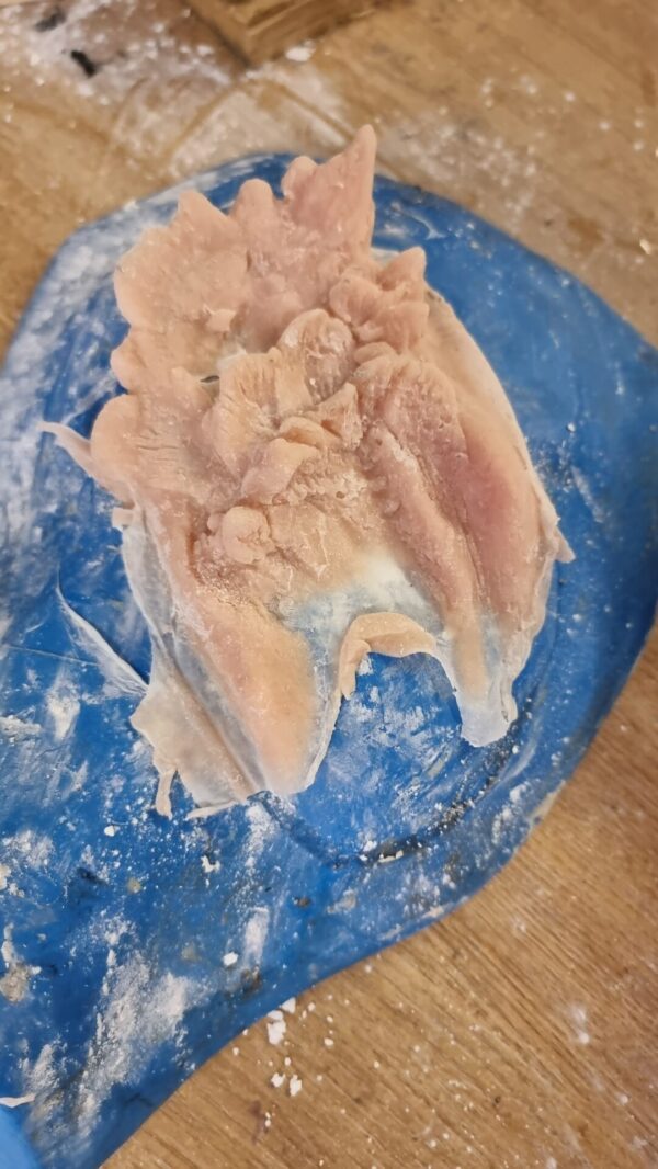 mermaid gill prosthetic ear
